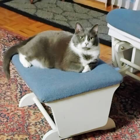 KitKat