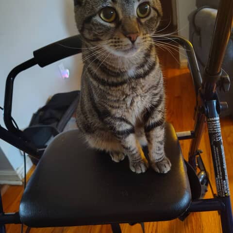 Kiki