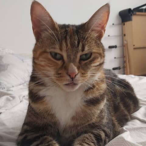 Sophie