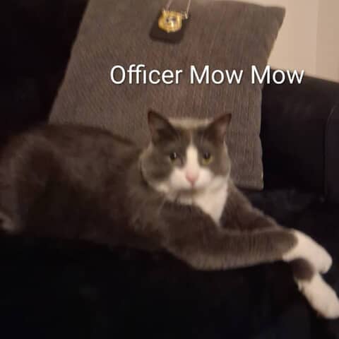 Officer meow meow