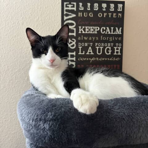 Zeus