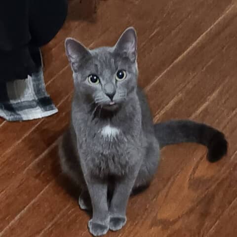 Teensie Mae