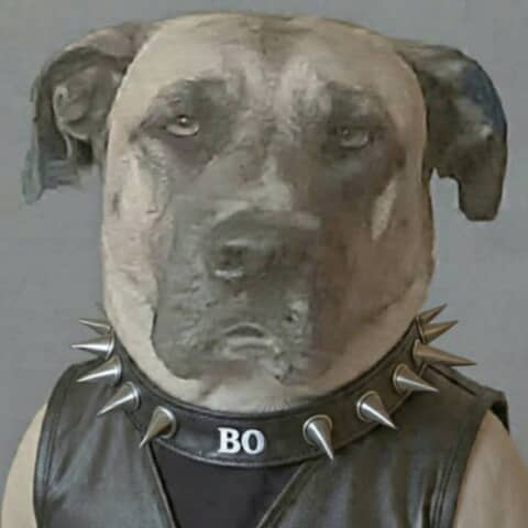 Bo
