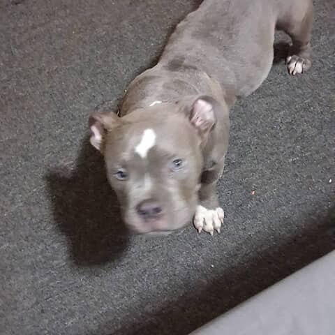 Prince