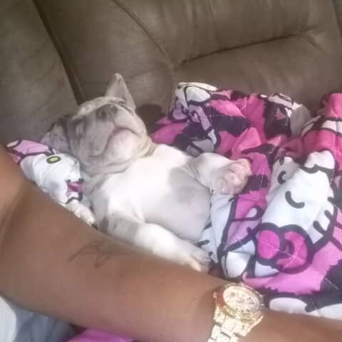 DoughBoy