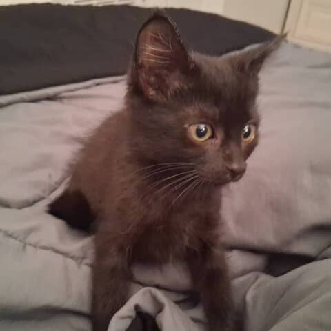 Chloe