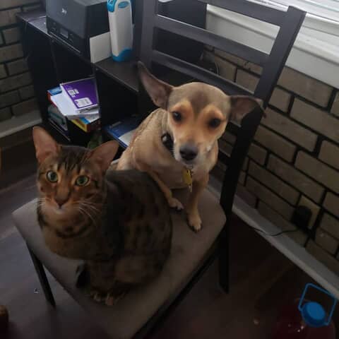 Max and millie