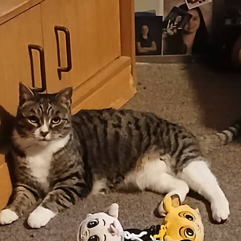 Tigger