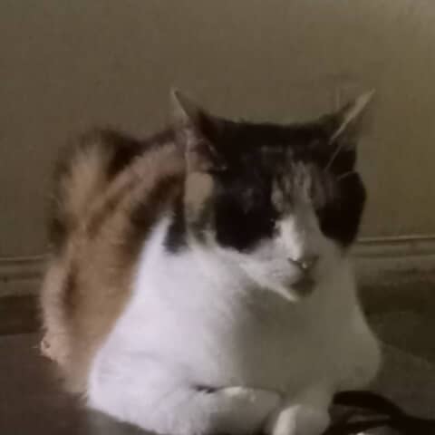 Zoey