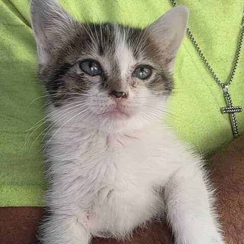 Penny sue