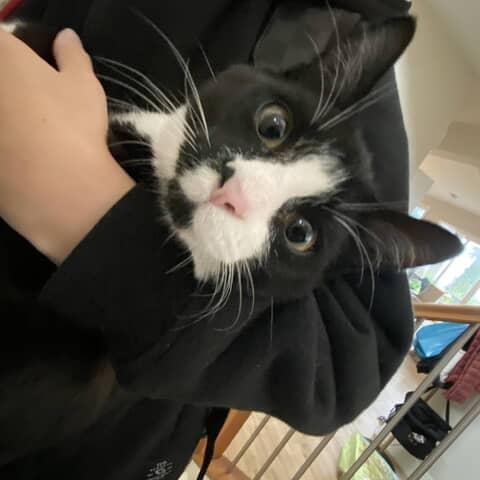 Luna