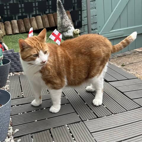 Caramel