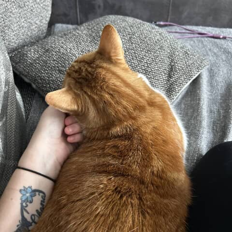 Caramel
