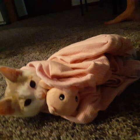 Peaches