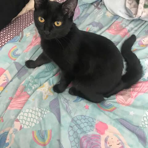 Luna