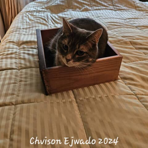 Chvison Ejwado