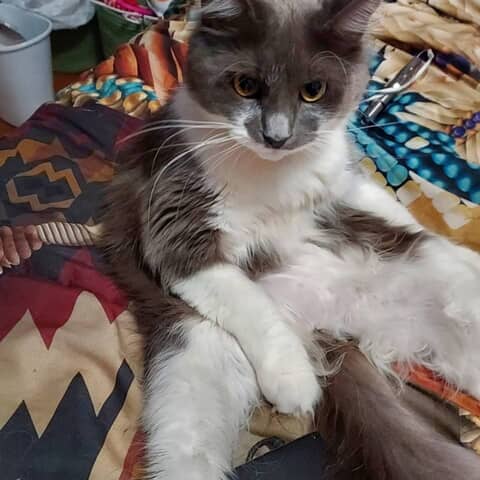Missy