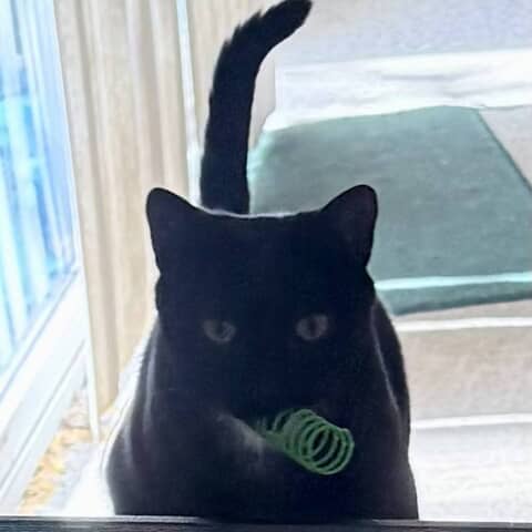 Sirius