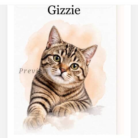 Gizzie