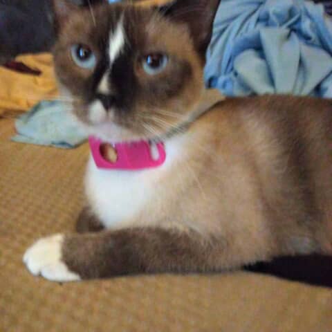 Jewel