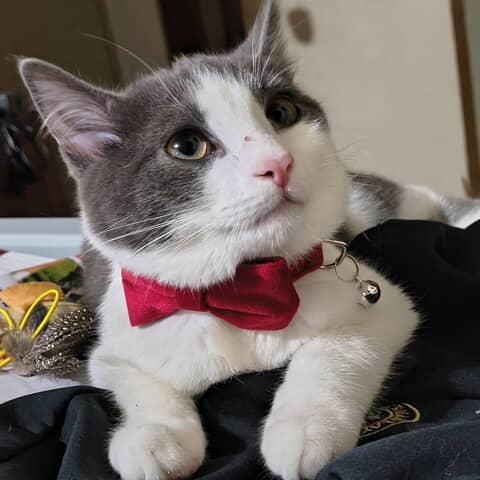Milo