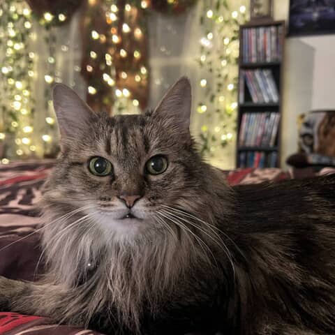 Boo