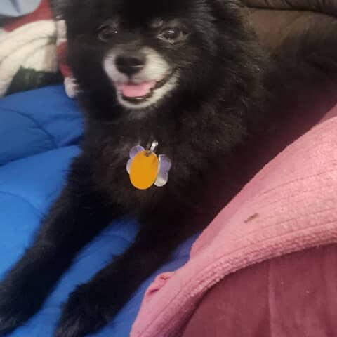 Sadie