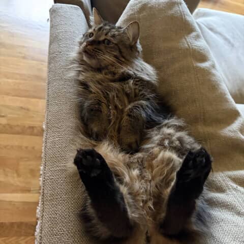 Fluffy