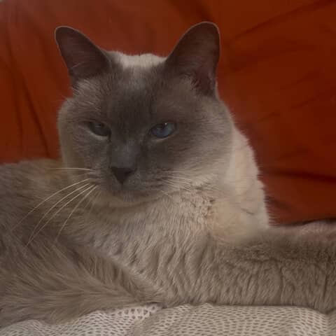 Ernie