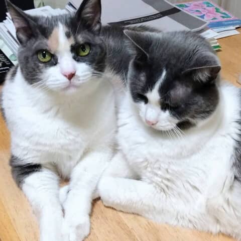 Molly and Lucy