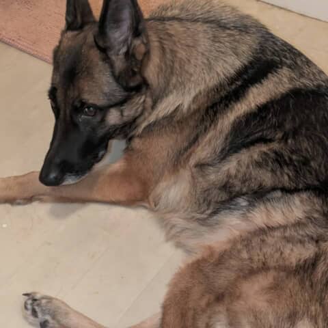 Athena