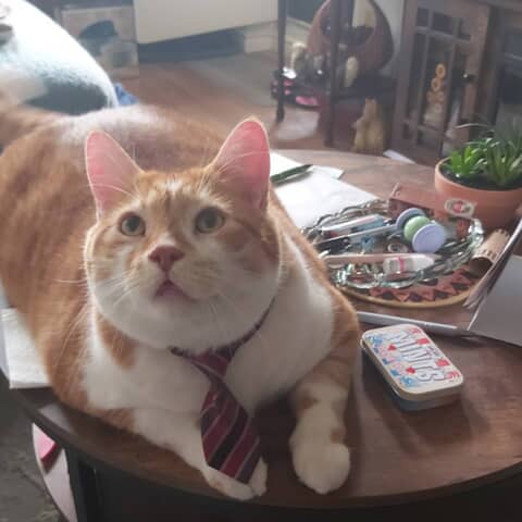 Farley