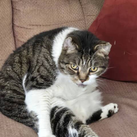Jasper