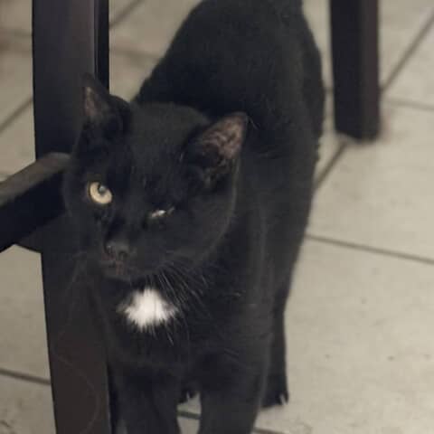 Miro