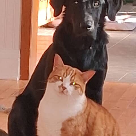 Jimmy Bear and Bobbie