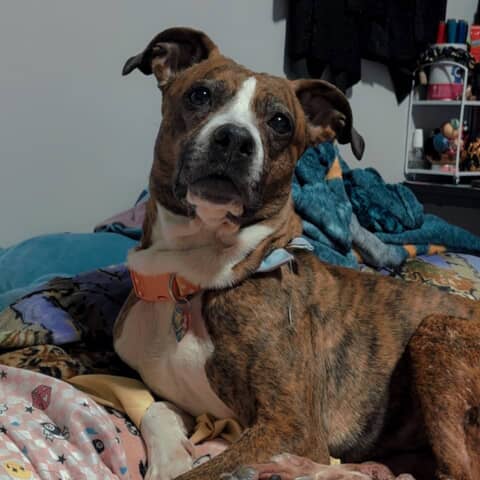 Rosie