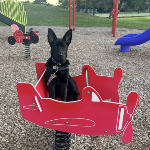 Matilda