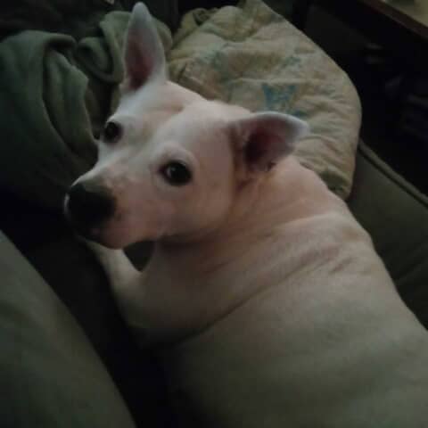 Baby girl