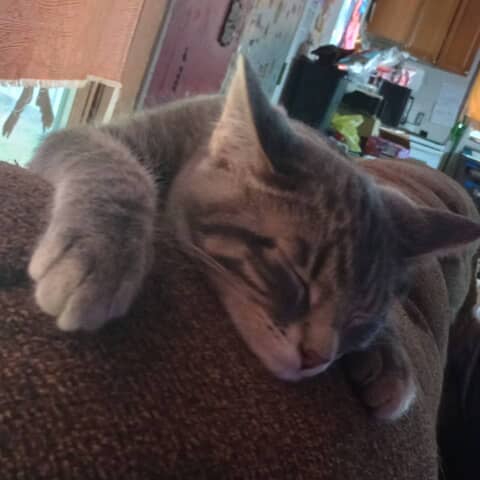Chester
