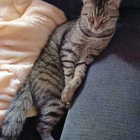 Oliver
