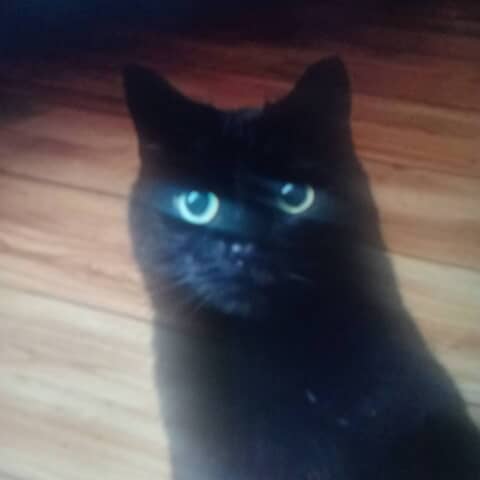 Salem