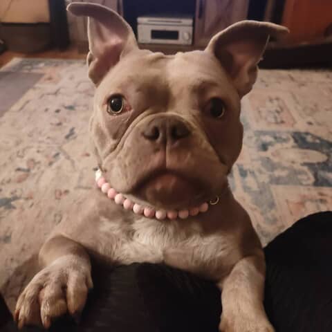 Alora May