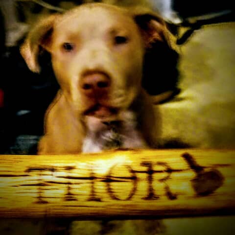 THOR
