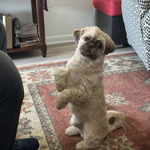 Murphy