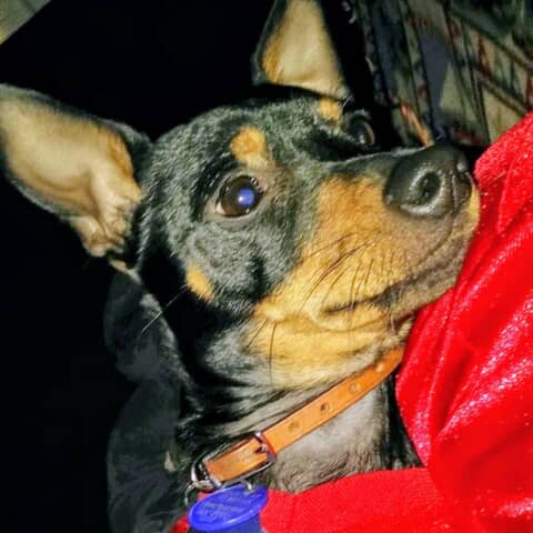 Roscoe Lee