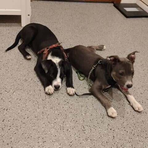 Ares and Zeus