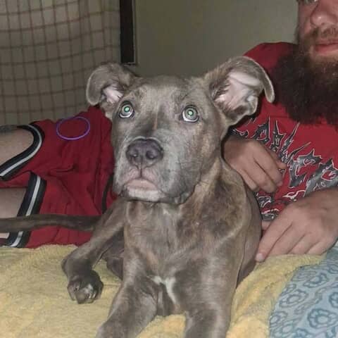 Milo