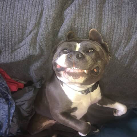 Jax