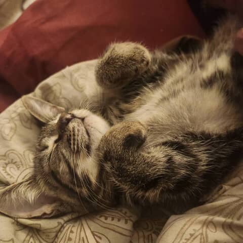 Marbles