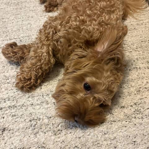 Huxley